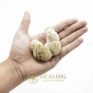 King Dragon Horns - Type A5 - Spiritual Crystals Bezoar Stones Bezoar Crystals Healing Bezoar Stones Animal Totem Stones, Power Animal Stones Magical Stones Magickal Stones Magickal Crystals Ritual Power Stones Ritual Crystals mystical shaman shamanic spiritual spiritualism metaphysics occult psychic