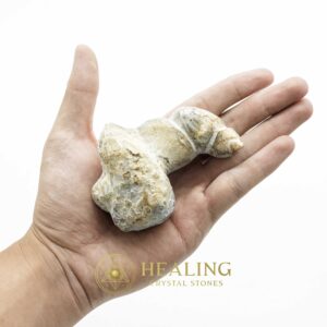 King Dragon Horns - Type A7 - Spiritual Crystals Bezoar Stones Bezoar Crystals Healing Bezoar Stones Animal Totem Stones, Power Animal Stones Magical Stones Magickal Stones Magickal Crystals Ritual Power Stones Ritual Crystals mystical shaman shamanic spiritual spiritualism metaphysics occult psychic