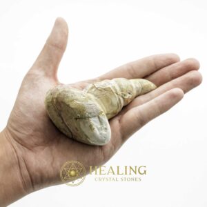 King Dragon Horns - Type A9 - Spiritual Crystals Bezoar Stones Bezoar Crystals Healing Bezoar Stones Animal Totem Stones, Power Animal Stones Magical Stones Magickal Stones Magickal Crystals Ritual Power Stones Ritual Crystals mystical shaman shamanic spiritual spiritualism metaphysics occult psychic