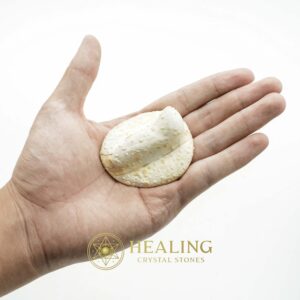 White Sanca Snake Horns - Type D7 - Spiritual Crystals Bezoar Stones Bezoar Crystals Healing Bezoar Stones Animal Totem Stones, Power Animal Stones Magical Stones Magickal Stones Magickal Crystals Ritual Power Stones Ritual Crystals mystical shaman shamanic spiritual spiritualism metaphysics occult psychic