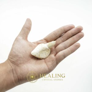 White Sanca Snake Horns - Type D8 - Spiritual Crystals Bezoar Stones Bezoar Crystals Healing Bezoar Stones Animal Totem Stones, Power Animal Stones Magical Stones Magickal Stones Magickal Crystals Ritual Power Stones Ritual Crystals mystical shaman shamanic spiritual spiritualism metaphysics occult psychic