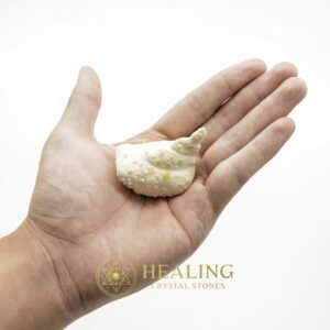 White Sanca Snake Horns - Type D9 - Spiritual Crystals Bezoar Stones Bezoar Crystals Healing Bezoar Stones Animal Totem Stones, Power Animal Stones Magical Stones Magickal Stones Magickal Crystals Ritual Power Stones Ritual Crystals mystical shaman shamanic spiritual spiritualism metaphysics occult psychic