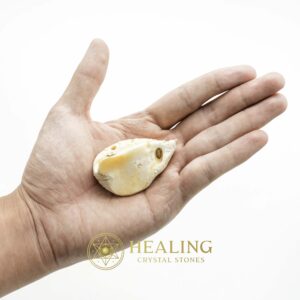 White Sanca Snake Horns - Type D10 - Spiritual Crystals Bezoar Stones Bezoar Crystals Healing Bezoar Stones Animal Totem Stones, Power Animal Stones Magical Stones Magickal Stones Magickal Crystals Ritual Power Stones Ritual Crystals mystical shaman shamanic spiritual spiritualism metaphysics occult psychic