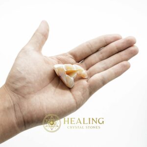 White Dragon Horn Fossil – Type A2 - Spiritual Crystals Bezoar Stones Bezoar Crystals Healing Bezoar Stones Animal Totem Stones, Power Animal Stones Magical Stones Magickal Stones Magickal Crystals Ritual Power Stones Ritual Crystals mystical shaman shamanic spiritual spiritualism metaphysics occult psychic