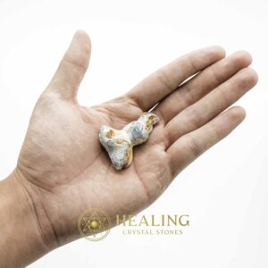 White Dragon Horn Fossil – Type A3 - Spiritual Crystals Bezoar Stones Bezoar Crystals Healing Bezoar Stones Animal Totem Stones, Power Animal Stones Magical Stones Magickal Stones Magickal Crystals Ritual Power Stones Ritual Crystals mystical shaman shamanic spiritual spiritualism metaphysics occult psychic