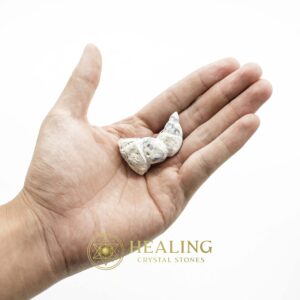 White Dragon Horn Fossil – Type A4 - Spiritual Crystals Bezoar Stones Bezoar Crystals Healing Bezoar Stones Animal Totem Stones, Power Animal Stones Magical Stones Magickal Stones Magickal Crystals Ritual Power Stones Ritual Crystals mystical shaman shamanic spiritual spiritualism metaphysics occult psychic