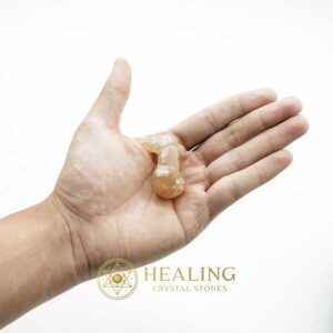 White Dragon Horn Fossil – Type A5 - Spiritual Crystals Bezoar Stones Bezoar Crystals Healing Bezoar Stones Animal Totem Stones, Power Animal Stones Magical Stones Magickal Stones Magickal Crystals Ritual Power Stones Ritual Crystals mystical shaman shamanic spiritual spiritualism metaphysics occult psychic