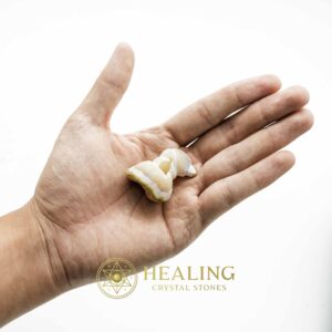 White Dragon Horn Fossil – Type A6 - Spiritual Crystals Bezoar Stones Bezoar Crystals Healing Bezoar Stones Animal Totem Stones, Power Animal Stones Magical Stones Magickal Stones Magickal Crystals Ritual Power Stones Ritual Crystals mystical shaman shamanic spiritual spiritualism metaphysics occult psychic