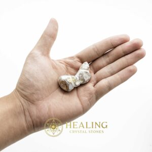 White Dragon Horn Fossil – Type A7 - Spiritual Crystals Bezoar Stones Bezoar Crystals Healing Bezoar Stones Animal Totem Stones, Power Animal Stones Magical Stones Magickal Stones Magickal Crystals Ritual Power Stones Ritual Crystals mystical shaman shamanic spiritual spiritualism metaphysics occult psychic