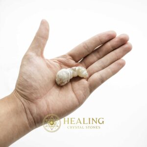 White Dragon Horn Fossil – Type A9 - Spiritual Crystals Bezoar Stones Bezoar Crystals Healing Bezoar Stones Animal Totem Stones, Power Animal Stones Magical Stones Magickal Stones Magickal Crystals Ritual Power Stones Ritual Crystals mystical shaman shamanic spiritual spiritualism metaphysics occult psychic