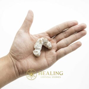 White Dragon Horn Fossil – Type B2 - Spiritual Crystals Bezoar Stones Bezoar Crystals Healing Bezoar Stones Animal Totem Stones, Power Animal Stones Magical Stones Magickal Stones Magickal Crystals Ritual Power Stones Ritual Crystals mystical shaman shamanic spiritual spiritualism metaphysics occult psychic