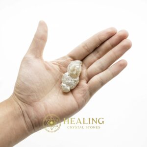 White Dragon Horn Fossil – Type B3 - Spiritual Crystals Bezoar Stones Bezoar Crystals Healing Bezoar Stones Animal Totem Stones, Power Animal Stones Magical Stones Magickal Stones Magickal Crystals Ritual Power Stones Ritual Crystals mystical shaman shamanic spiritual spiritualism metaphysics occult psychic