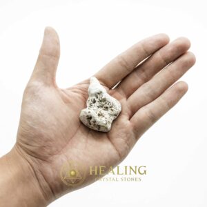 White Dragon Horn Fossil – Type B4 - Spiritual Crystals Bezoar Stones Bezoar Crystals Healing Bezoar Stones Animal Totem Stones, Power Animal Stones Magical Stones Magickal Stones Magickal Crystals Ritual Power Stones Ritual Crystals mystical shaman shamanic spiritual spiritualism metaphysics occult psychic