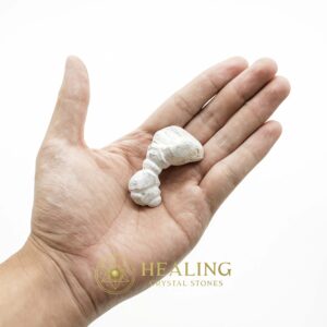 White Dragon Horn Fossil – Type B6 - Spiritual Crystals Bezoar Stones Bezoar Crystals Healing Bezoar Stones Animal Totem Stones, Power Animal Stones Magical Stones Magickal Stones Magickal Crystals Ritual Power Stones Ritual Crystals mystical shaman shamanic spiritual spiritualism metaphysics occult psychic