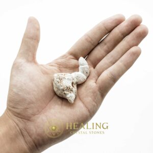 White Dragon Horn Fossil – Type C1 - Spiritual Crystals Bezoar Stones Bezoar Crystals Healing Bezoar Stones Animal Totem Stones, Power Animal Stones Magical Stones Magickal Stones Magickal Crystals Ritual Power Stones Ritual Crystals mystical shaman shamanic spiritual spiritualism metaphysics occult psychic
