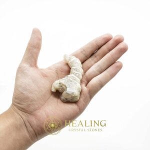 White Dragon Horn Fossil – Type C3 - Spiritual Crystals Bezoar Stones Bezoar Crystals Healing Bezoar Stones Animal Totem Stones, Power Animal Stones Magical Stones Magickal Stones Magickal Crystals Ritual Power Stones Ritual Crystals mystical shaman shamanic spiritual spiritualism metaphysics occult psychic