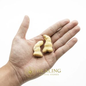 White Dragon Horn Fossil – Type D - Spiritual Crystals Bezoar Stones Bezoar Crystals Healing Bezoar Stones Animal Totem Stones, Power Animal Stones Magical Stones Magickal Stones Magickal Crystals Ritual Power Stones Ritual Crystals mystical shaman shamanic spiritual spiritualism metaphysics occult psychic