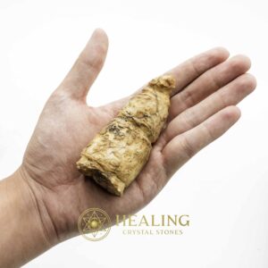 Wulan Dragon Horn - Type A3 - Spiritual Crystals Bezoar Stones Bezoar Crystals Healing Bezoar Stones Animal Totem Stones, Power Animal Stones Magical Stones Magickal Stones Magickal Crystals Ritual Power Stones Ritual Crystals mystical shaman shamanic spiritual spiritualism metaphysics occult psychic
