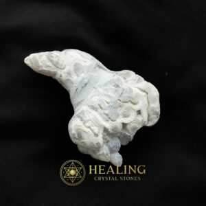 Magickal Horns
