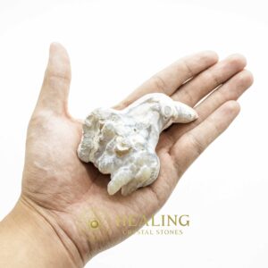 King Dragon Horns - Type A8 - Spiritual Crystals Bezoar Stones Bezoar Crystals Healing Bezoar Stones Animal Totem Stones, Power Animal Stones Magical Stones Magickal Stones Magickal Crystals Ritual Power Stones Ritual Crystals mystical shaman shamanic spiritual spiritualism metaphysics occult psychic