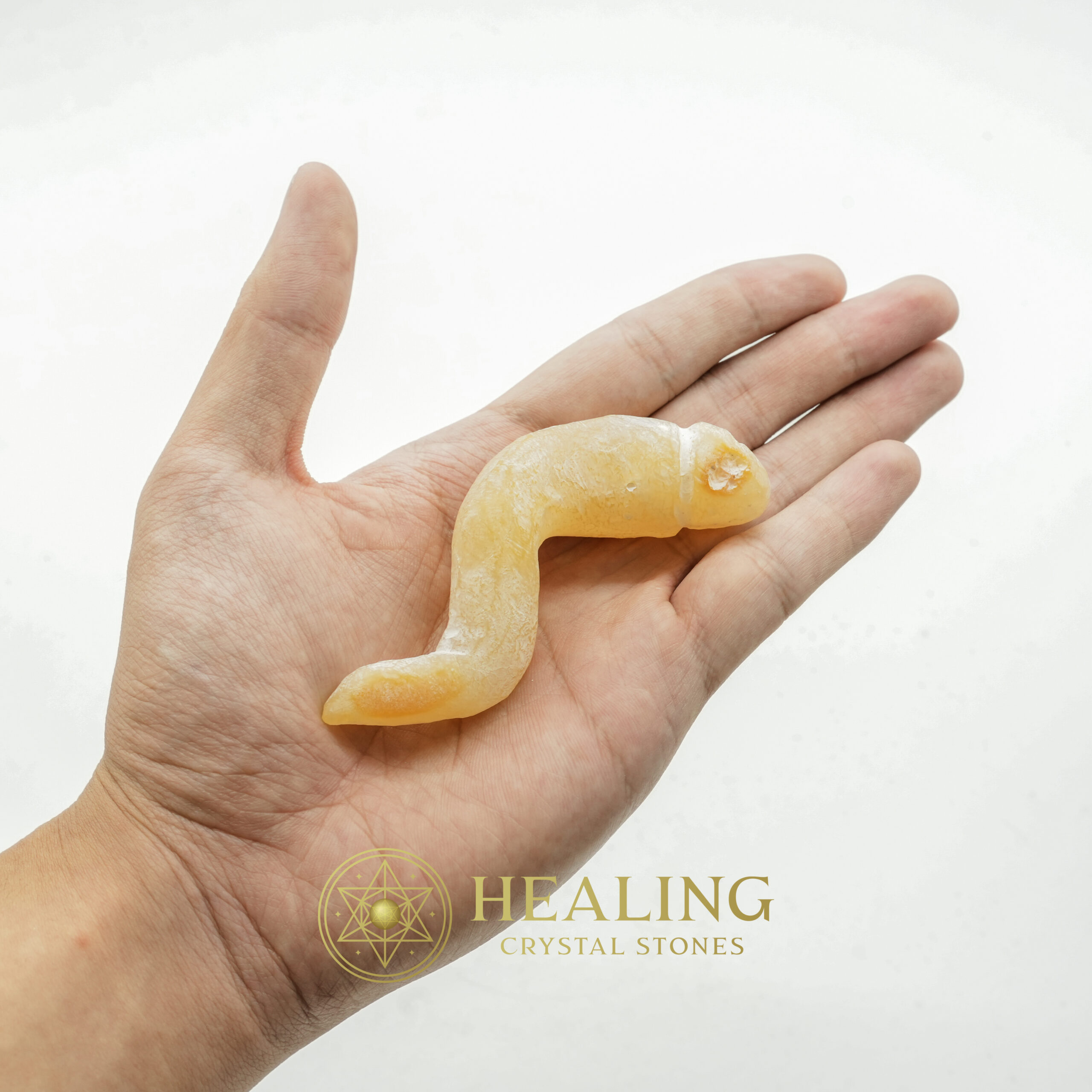 Fossil Suro Fish - Type A2 - sacred crystals, sacred stones, ritual crystals, mystical stones, spiritual healing crystals, energy stones, metaphysical stones, protective stones, enchanted crystals, occult stones