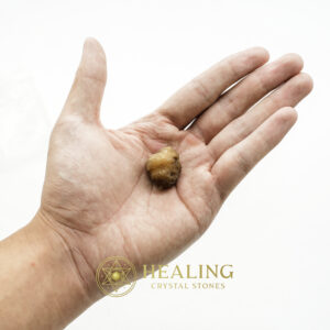 Fossilized Tiger Testicle Pearl - Type H - magical stones, magical crystals, mystical stones, enchanted crystals, spiritual stones, sacred stones, ritual crystals, metaphysical stones, protective crystals, energy stones