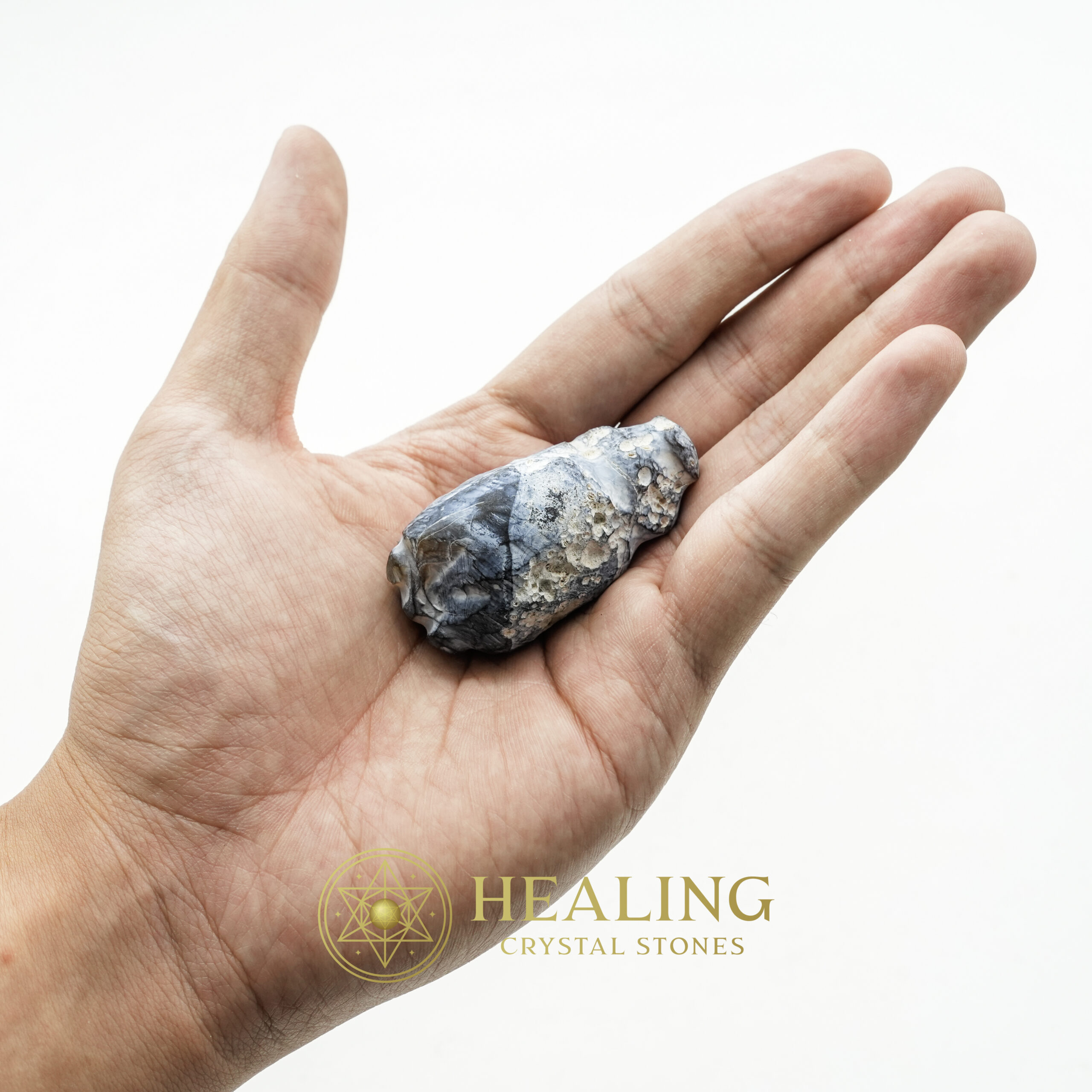 Fossilized Tiger Testicle Pearl - Type A - grounding stones, grounding crystals, mystical stones, spiritual healing stones, energy crystals, metaphysical stones, sacred stones, ritual stones, protective crystals, enchanted stones