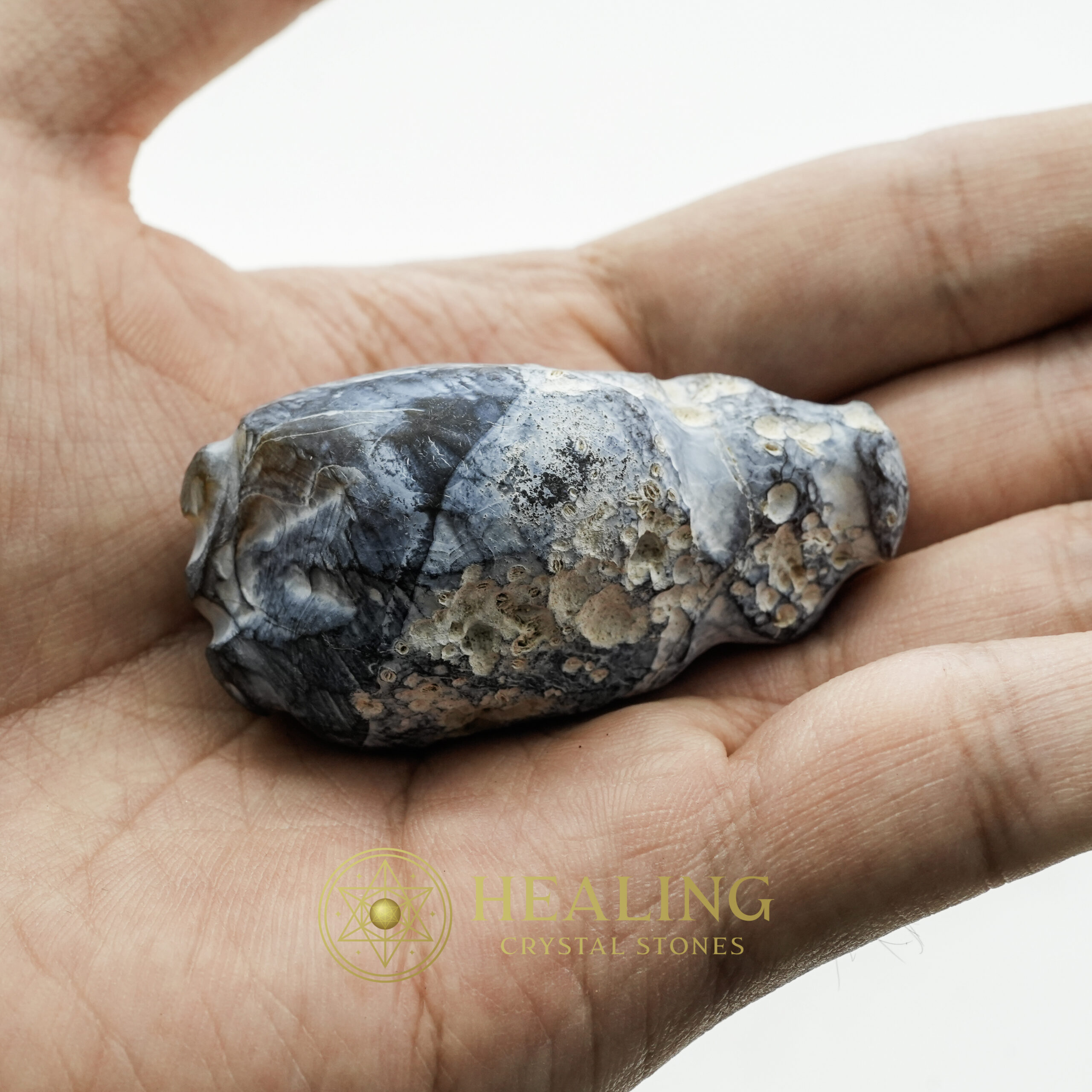 Fossilized Tiger Testicle Pearl - Type A - grounding stones, grounding crystals, mystical stones, spiritual healing stones, energy crystals, metaphysical stones, sacred stones, ritual stones, protective crystals, enchanted stones