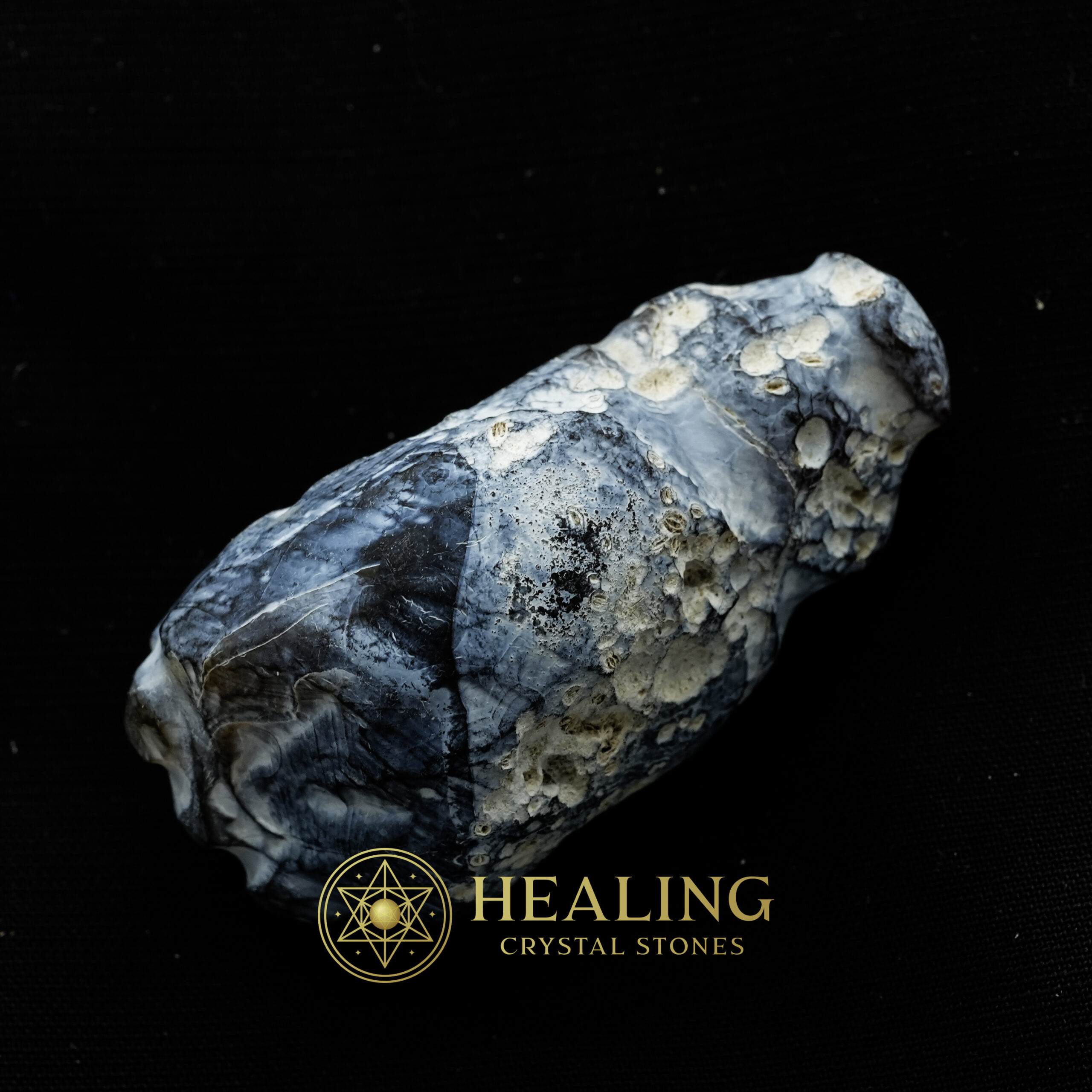 Fossilized Tiger Testicle Pearl - Type A - grounding stones, grounding crystals, mystical stones, spiritual healing stones, energy crystals, metaphysical stones, sacred stones, ritual stones, protective crystals, enchanted stones