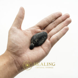 Fossilized Tiger Testicle Pearl - Type B - manifestation crystals, manifestation stones, mystical stones, spiritual crystals, energy healing stones, metaphysical crystals, sacred stones, ritual stones, protective crystals, enchanted crystals