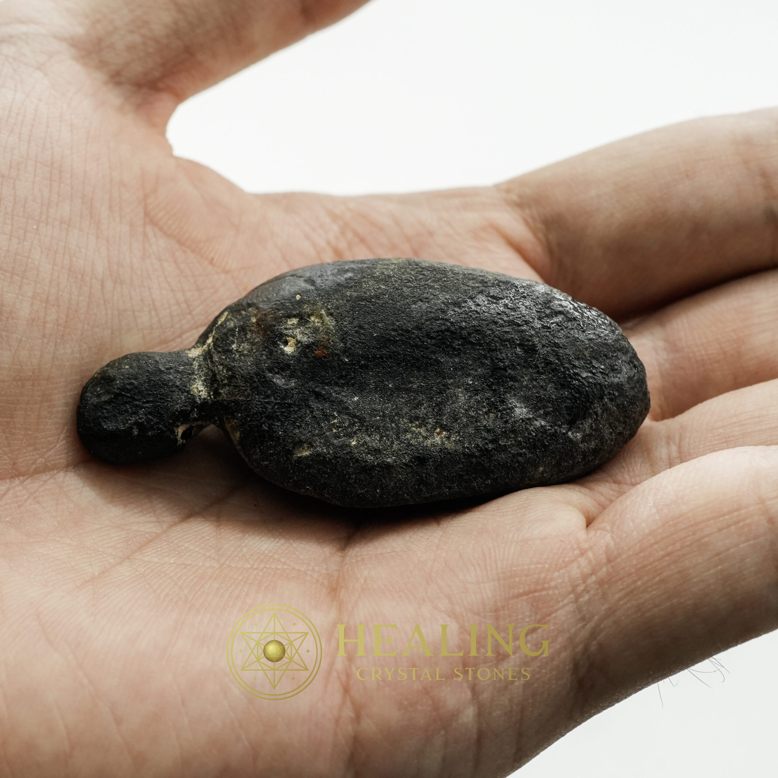 Fossilized Tiger Testicle Pearl - Type B - manifestation crystals, manifestation stones, mystical stones, spiritual crystals, energy healing stones, metaphysical crystals, sacred stones, ritual stones, protective crystals, enchanted crystals