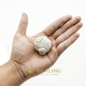 Fossilized Tiger Testicle Pearl - Type D1.2 - elemental crystals, elemental stones, mystical stones, spiritual crystals, energy healing stones, metaphysical stones, sacred stones, ritual crystals, protective crystals, enchanted stones