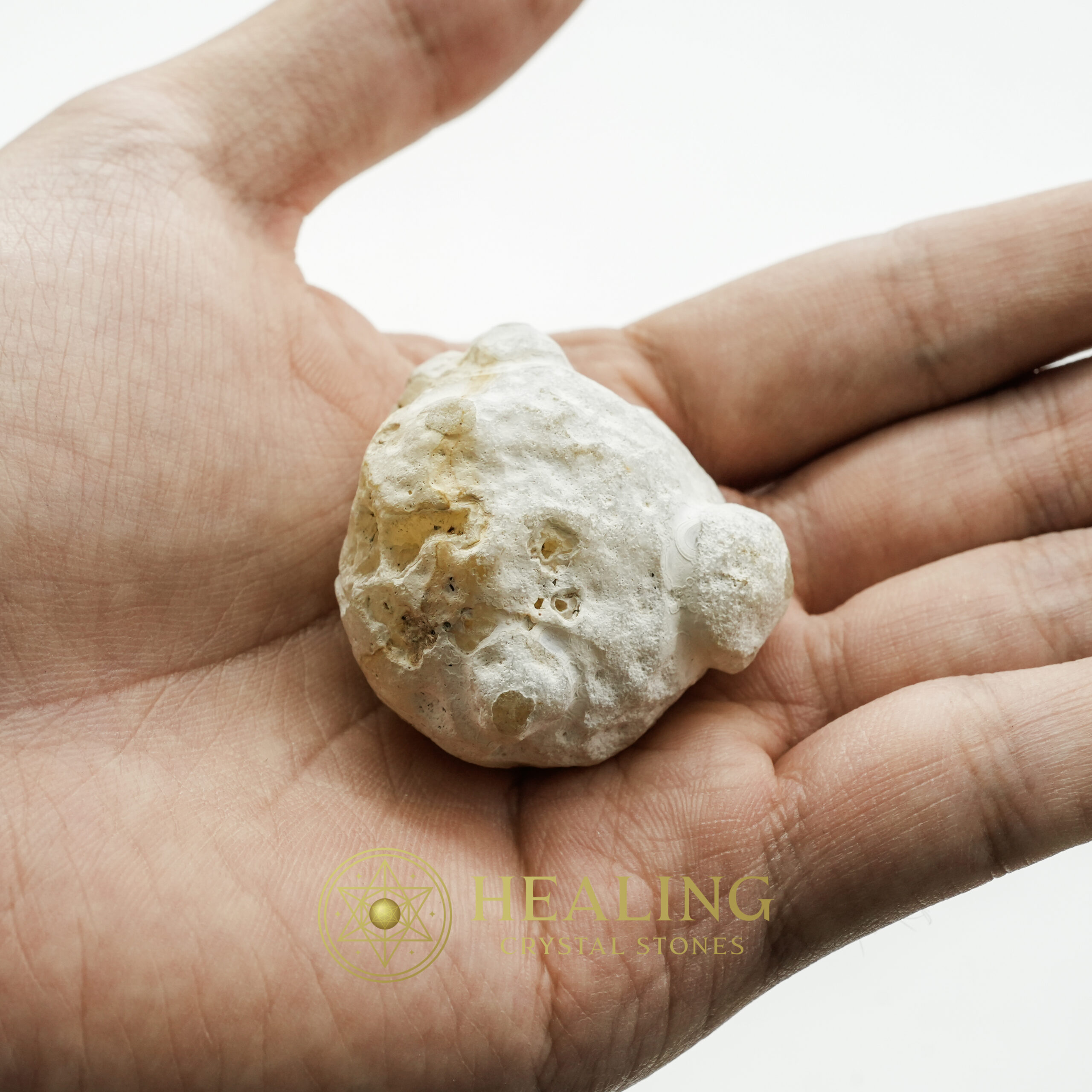 Fossilized Tiger Testicle Pearl - Type D1.2 - elemental crystals, elemental stones, mystical stones, spiritual crystals, energy healing stones, metaphysical stones, sacred stones, ritual crystals, protective crystals, enchanted stones