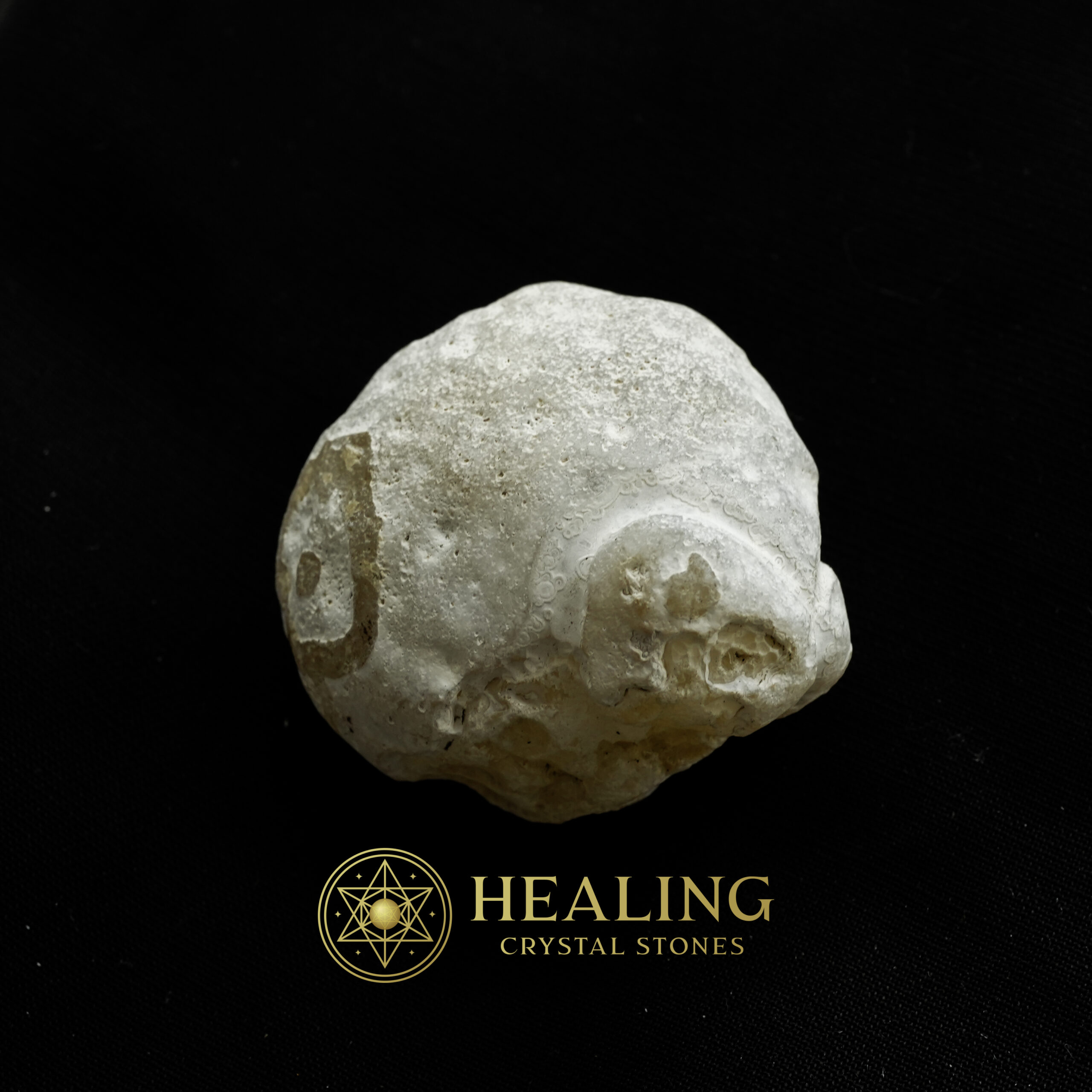Fossilized Tiger Testicle Pearl - Type D1.2 - elemental crystals, elemental stones, mystical stones, spiritual crystals, energy healing stones, metaphysical stones, sacred stones, ritual crystals, protective crystals, enchanted stones