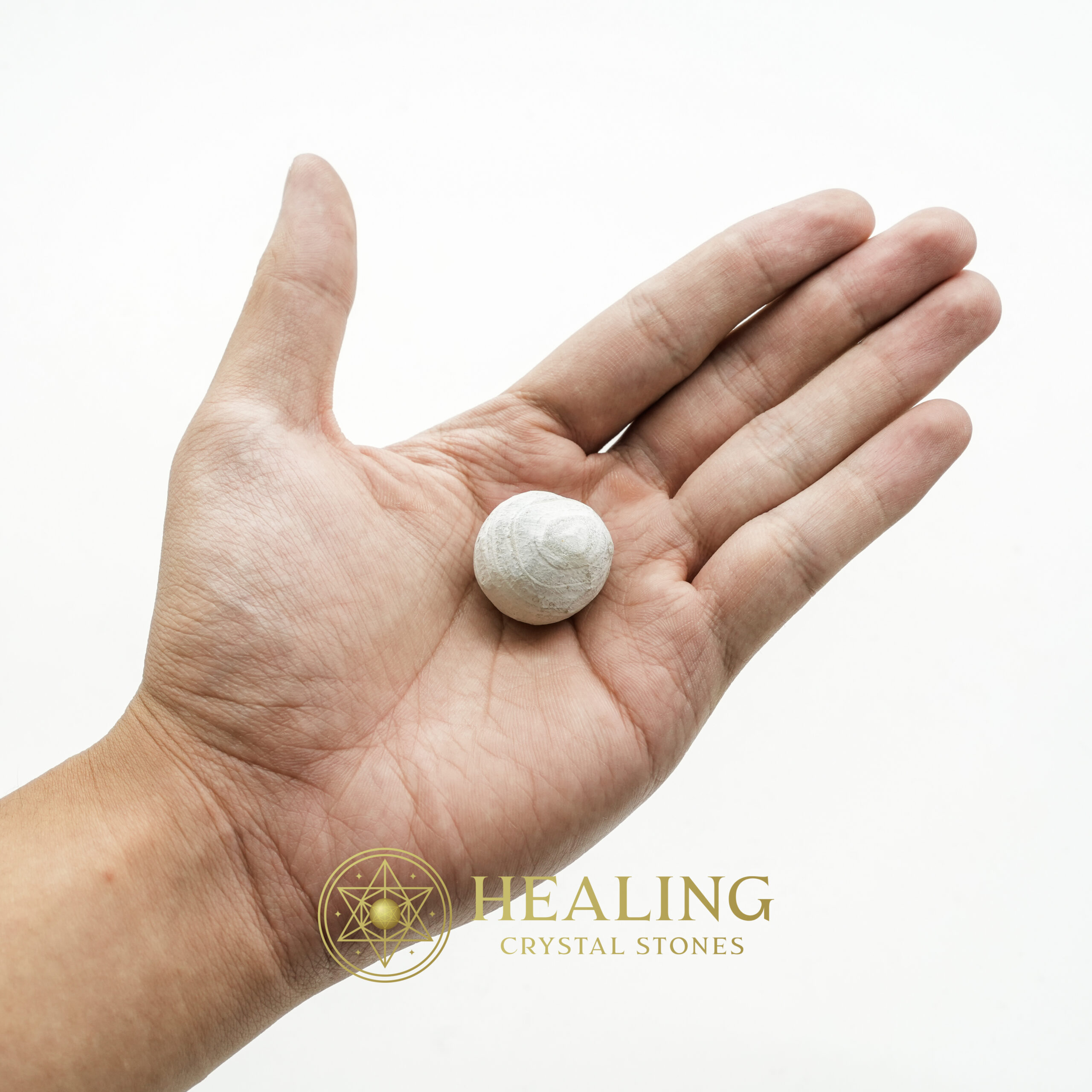 Fossilized Tiger Testicle Pearl - Type E (Sumatra) - nature spirit stones, nature crystals, mystical stones, spiritual healing stones, energy crystals, metaphysical stones, sacred stones, ritual crystals, protective crystals, enchanted stones