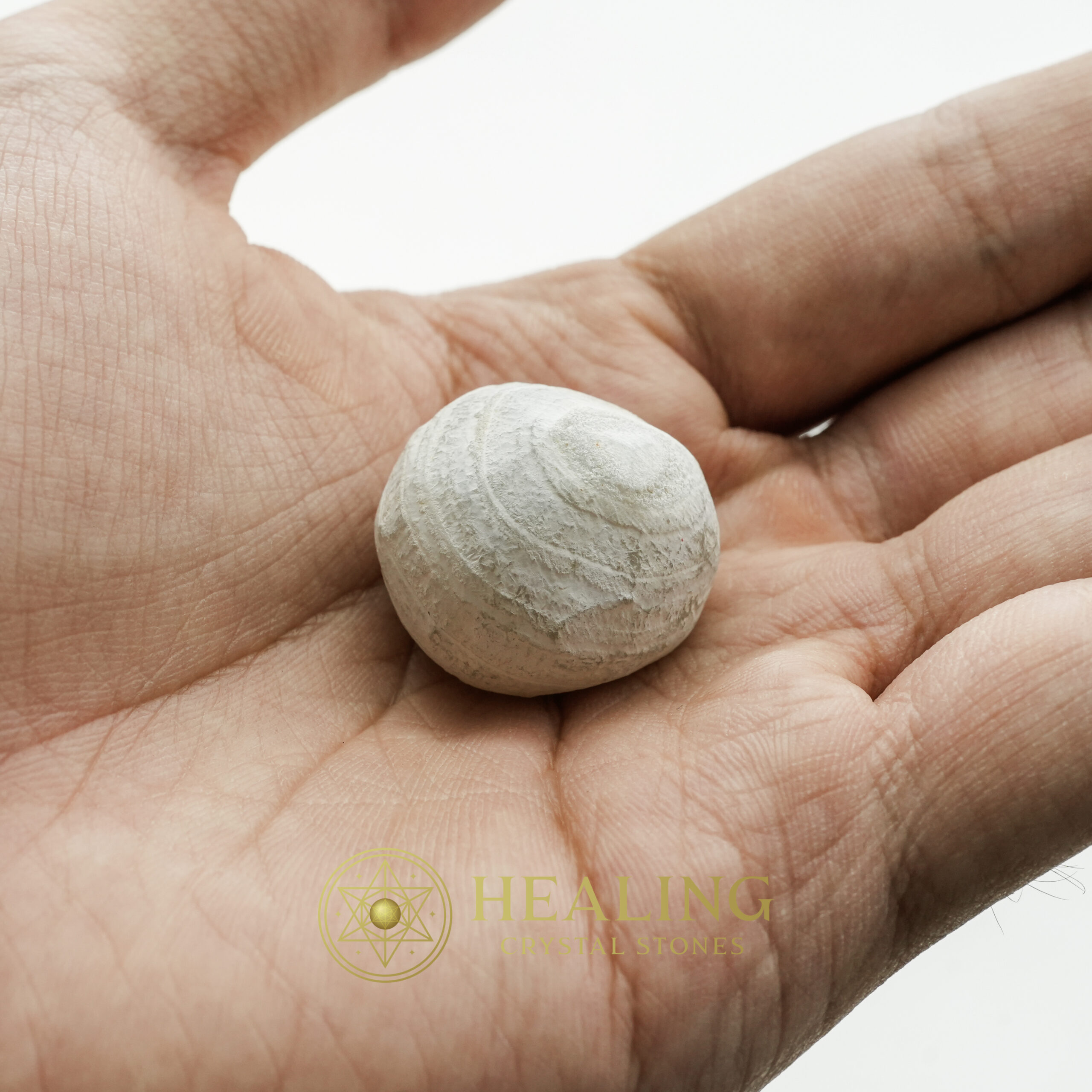 Fossilized Tiger Testicle Pearl - Type E (Sumatra) - nature spirit stones, nature crystals, mystical stones, spiritual healing stones, energy crystals, metaphysical stones, sacred stones, ritual crystals, protective crystals, enchanted stones