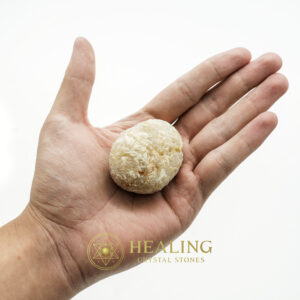 Fossilized Tiger Testicle Pearl - Type F (Kantong) - high vibration crystals, mystical stones, spiritual crystals, energy healing stones, metaphysical crystals, sacred stones, ritual stones, protective crystals, enchanted stones, magical stones