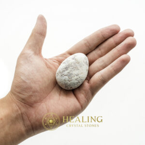 Fossilized Tiger Testicle Pearl - Type G - divine crystals, divine stones, mystical stones, spiritual healing stones, energy crystals, metaphysical stones, sacred stones, ritual crystals, protective crystals, enchanted crystals
