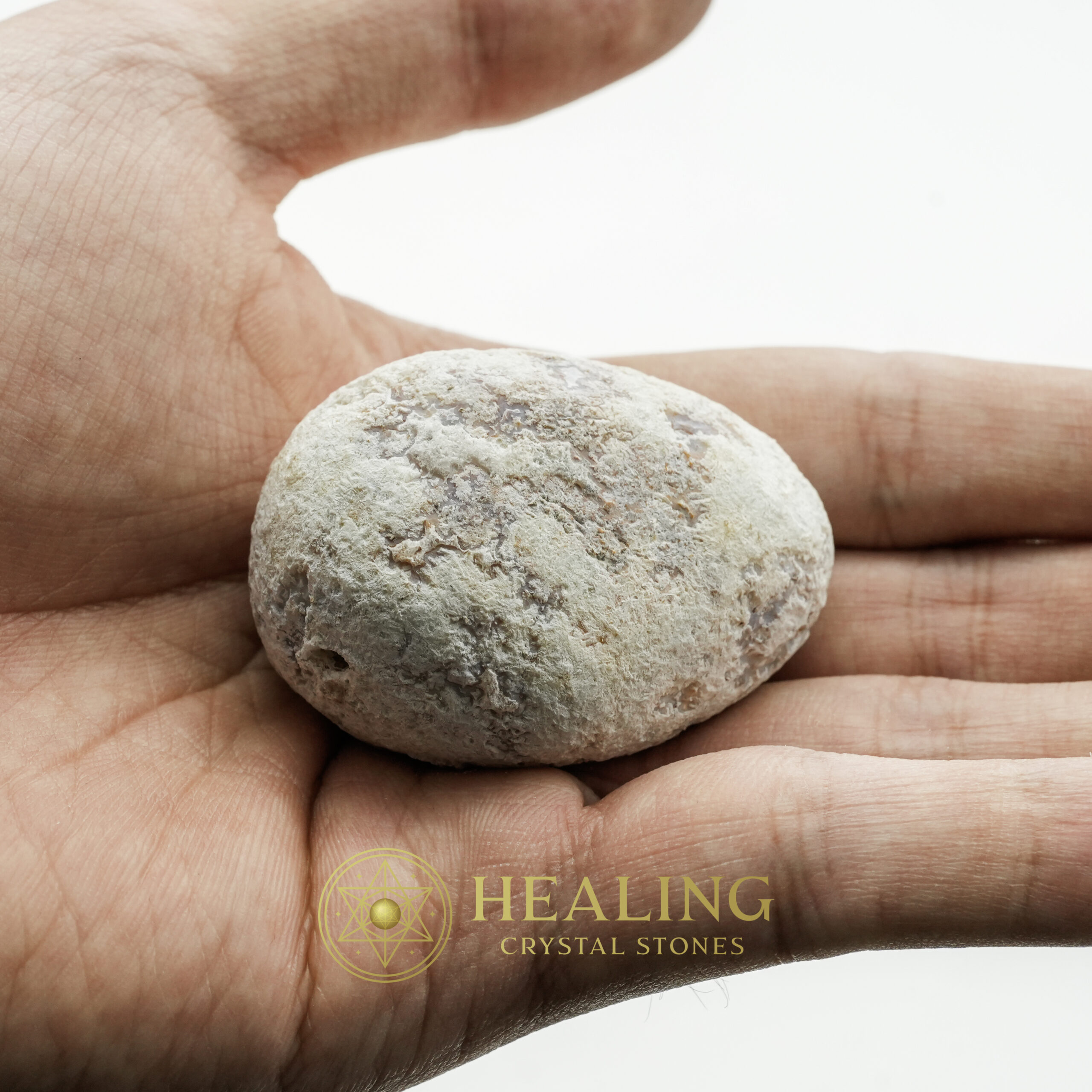 Fossilized Tiger Testicle Pearl - Type G - divine crystals, divine stones, mystical stones, spiritual healing stones, energy crystals, metaphysical stones, sacred stones, ritual crystals, protective crystals, enchanted crystals