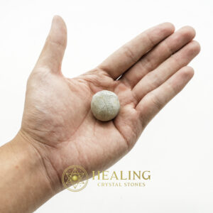 Fossilized Tiger Testicle Pearl – Type H - healing gemstones, spiritual crystals, mystical stones, energy crystals, metaphysical stones, sacred stones, ritual crystals, protective stones, enchanted crystals, magical stones