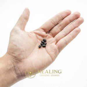 Scorpion Pearl - Type B - Healing Crystals, Power Animal Stones, Magickal Crystals, Amulet Stones, shamanic, mystical, spiritual, metaphysics, Talismanic Stones, Crystal Stones