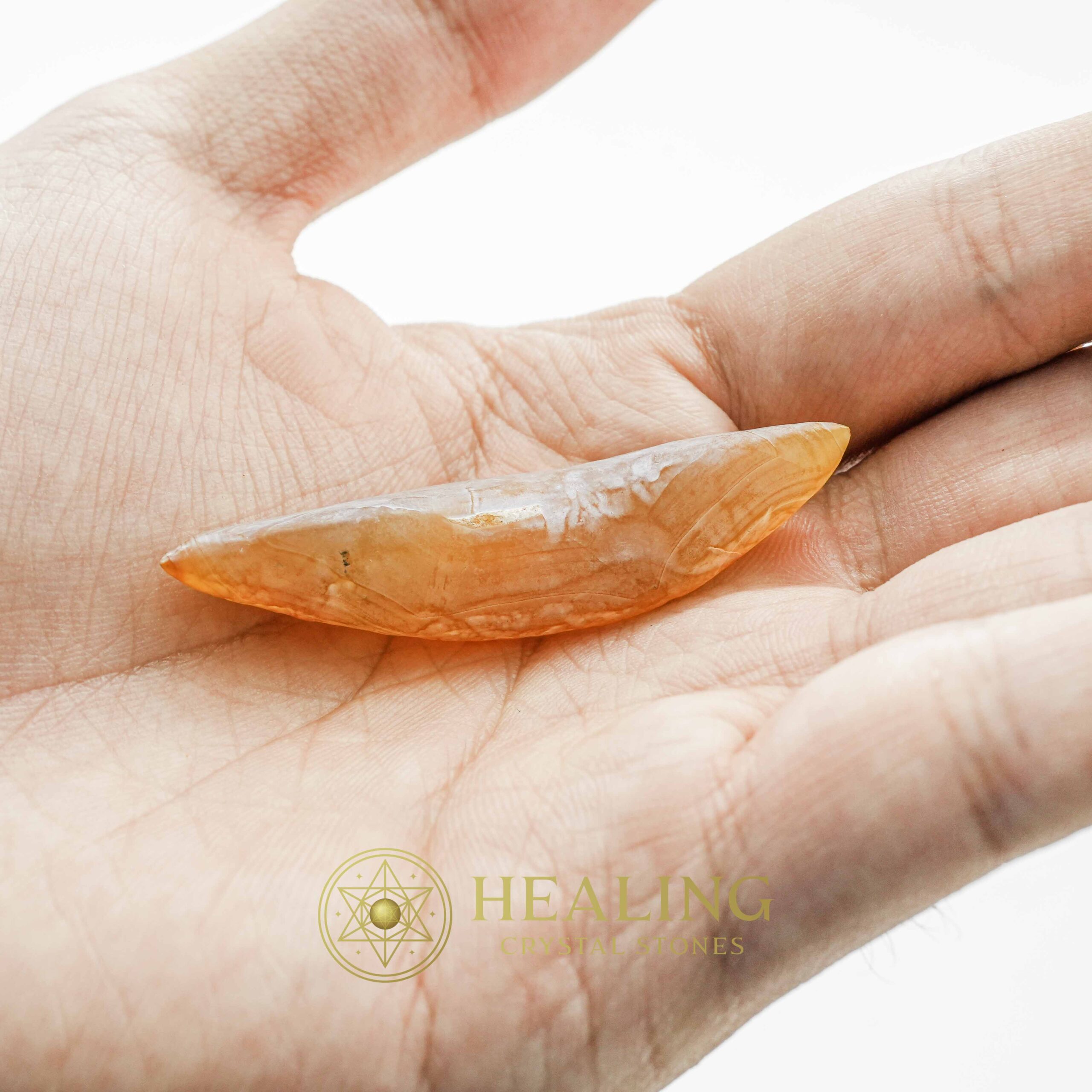 Snake Genital Fossil - Type F2 - Crystal Stones, Healing Crystals, Talisman Crystals, Bezoar Crystals, occult, mystical, metaphysics, spiritual, Magical Stones, Amulet Stones