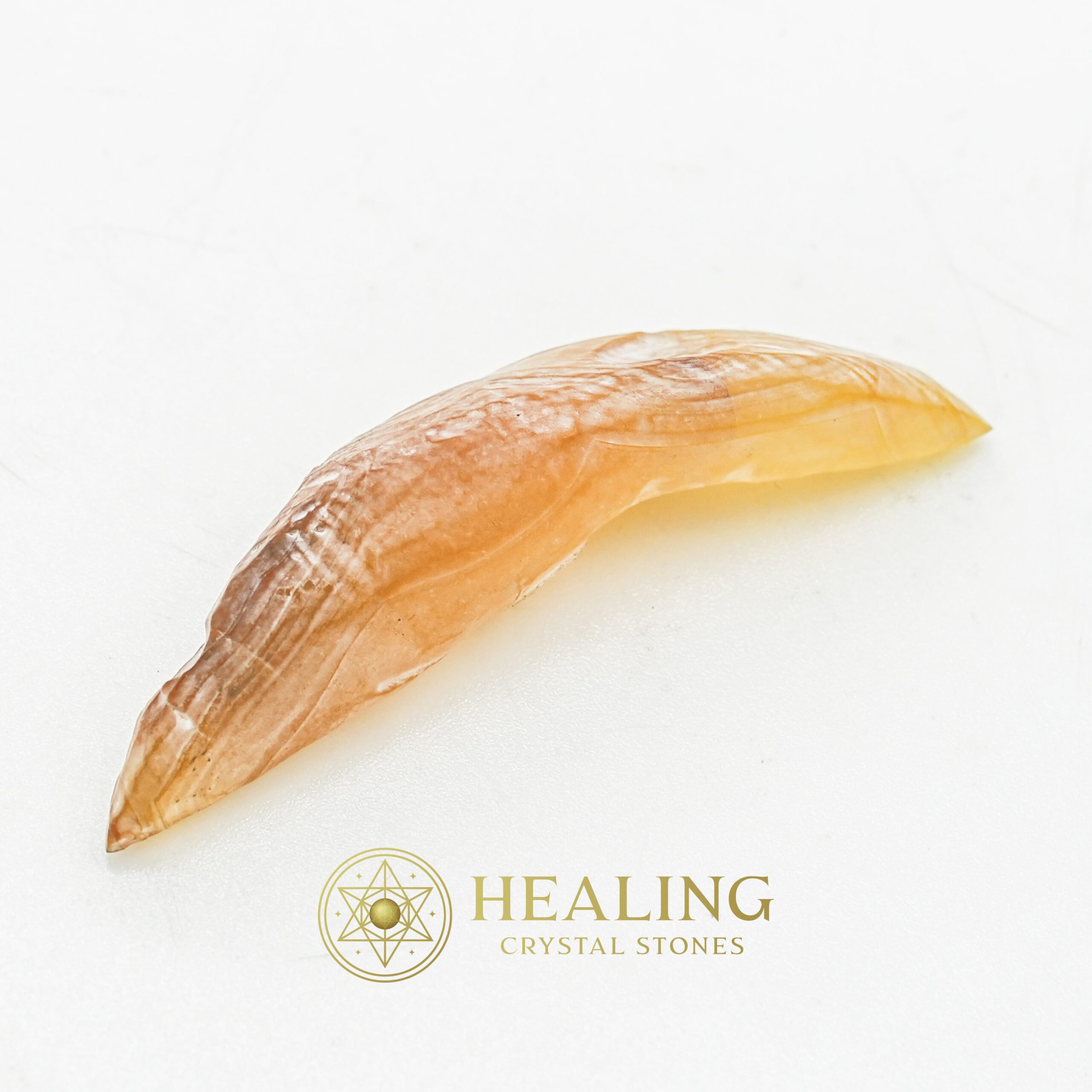 Snake Genital Fossil - Type F2 - Crystal Stones, Healing Crystals, Talisman Crystals, Bezoar Crystals, occult, mystical, metaphysics, spiritual, Magical Stones, Amulet Stones