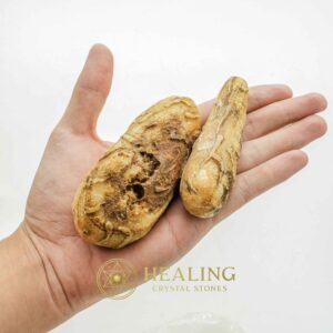 Dablang Buffalo Pearl - Type E1 (Oblong) - Bezoar Crystals, Healing Crystals, Crystal Stones, Spiritual Crystals, Ritual Crystals, Enchanted Stones, Magickal Stones, mystical, psychic, artifact