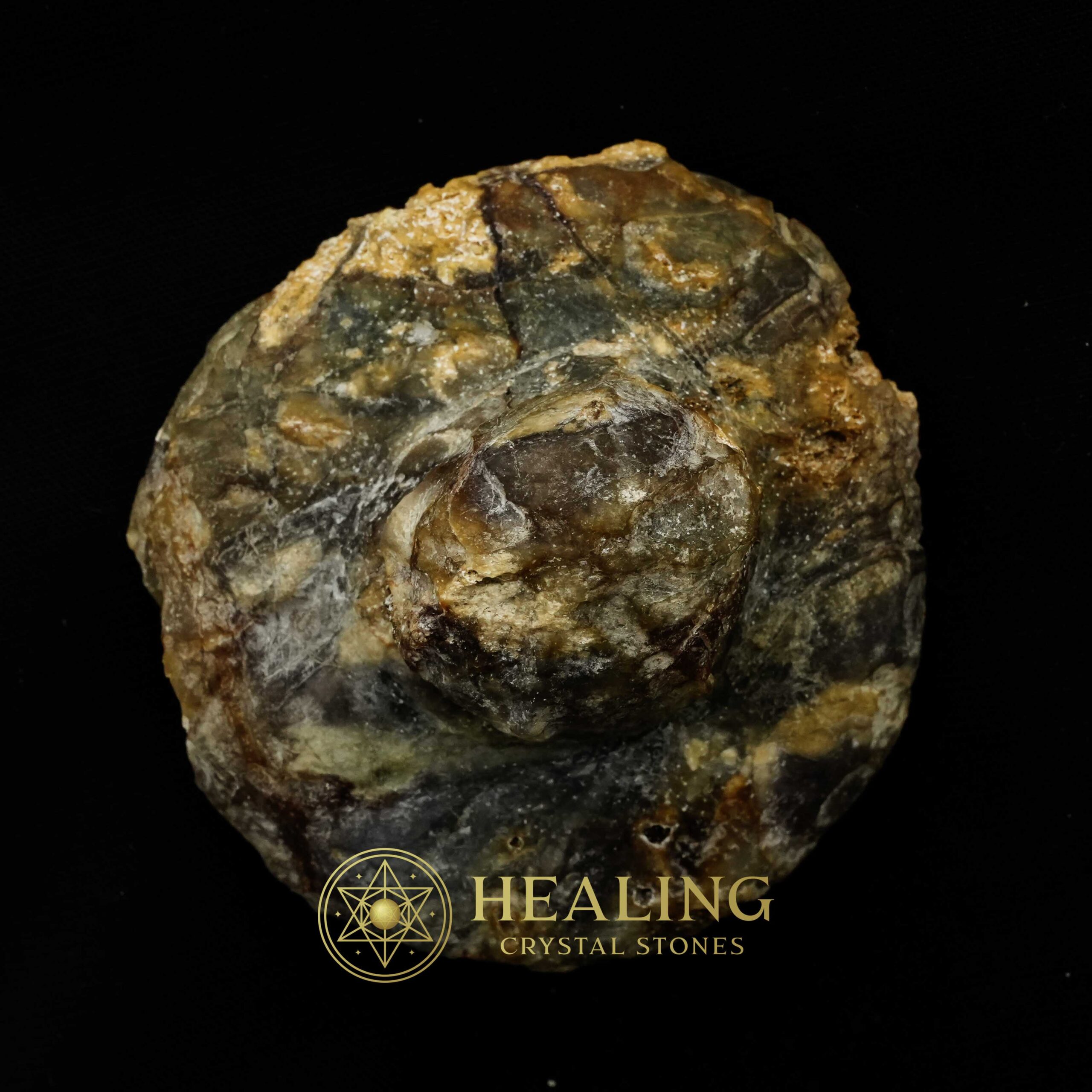 Earth Dragon Crown - Type D2 - Bezoar Stones, Animal Totem Stones, Power ANimal Stones, Enchanted Stones, Energy Stones, Sacred Stones, Mystical Stones