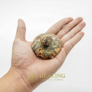 Earth Dragon Crown - Type D2 - Mustika Pearls, Healing Crystals, Sacred Stones, Crystal Stones, Healing Bezoar Stones, Talismanic Stones, Enchanted Stones, mystical, occult, rare