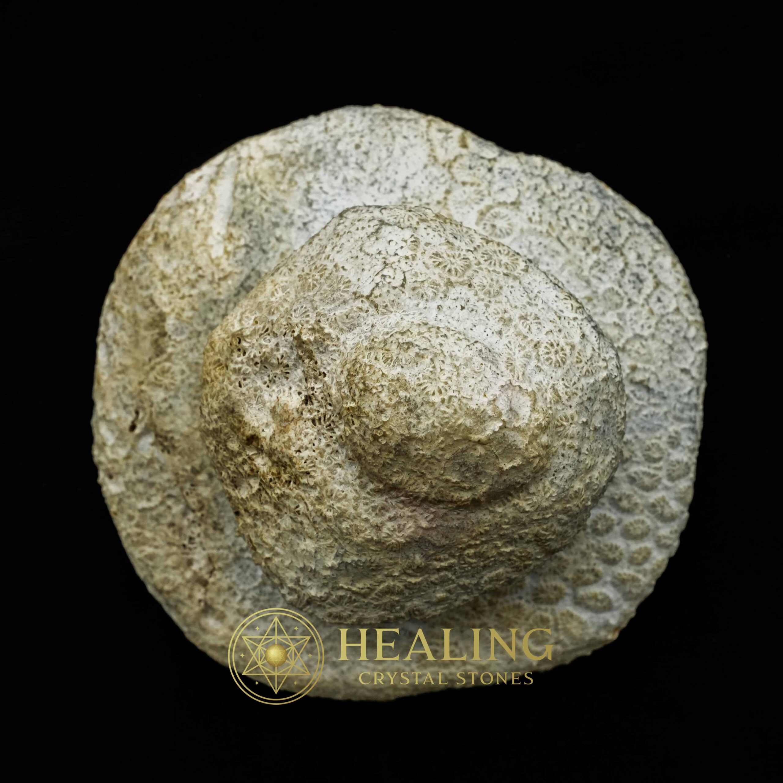 Earth Dragon Crown - Type D3 - Healing Crystals, Crystal Stones, Mustika Pearls, Amulet Stones, Healing Stones, Mystical, Shaman, Shamanic, Spiritual