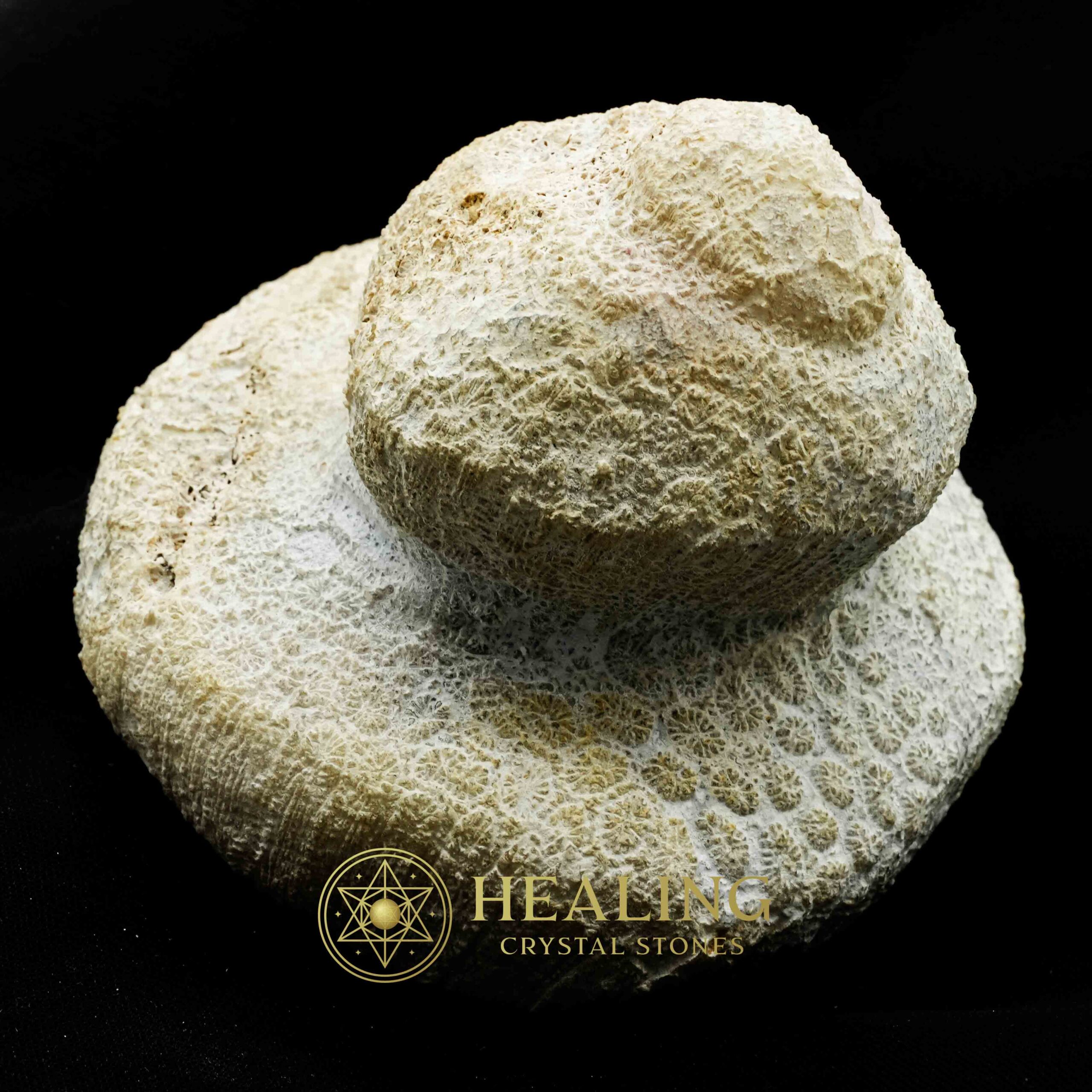 Earth Dragon Crown - Type D3 - Healing Crystals, Crystal Stones, Bezoar Stones, Energy Stones, Talismans Stones, Sacred Stones, Mustika Pearls, metaphysics, mystical, rare