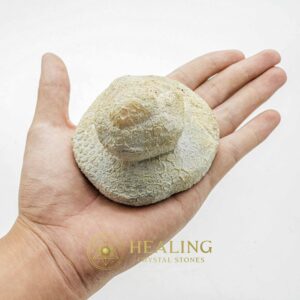 Earth Dragon Crown - Type D3 - Crystal Stones, Mustika Stones, Healing Stones, Ritual Crystals, Spiritual Crystals, Magical Stones, Sacred Stones, shaman, psychic, artifact