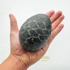 Earth Dragon Pearl - Type G2 - Healing Crystals, Sacred Crystals, Animal Totem Stones, Aura, Balance, Positive Energy, Cleansing, Rare, Sacred, Unique